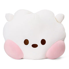 Cute KPOP Plush Doll Throw Pillow