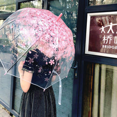 Transparent Cherry Blossom Umbrella