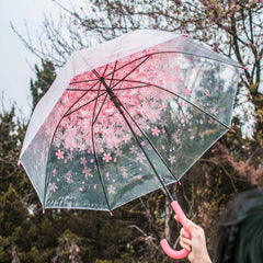 Transparent Cherry Blossom Umbrella