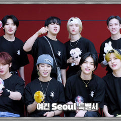 Unisex Kpop Printed Loose Short Sleeved Cotton T-shirt