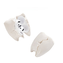 Tooth AirPods Case 🦷