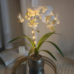 Phalaenopsis Night Light Decor