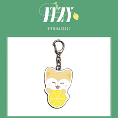TWINZY Keychain Pendant Accessories