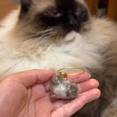 Cat Pup Capsule Keychain Pet Hair Storage Pendant Lab