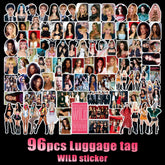 96PCS KATSEYE WILD Stickers