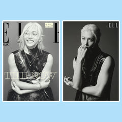 FELIX Magazine Self-adhesive Poster Stickers