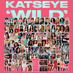 96PCS KATSEYE WILD Stickers