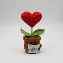 Handmand Emotionlal Support Plant Gifts