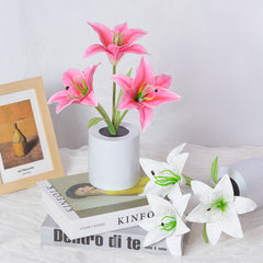 Rechargeable Lily Flower Pot Night Light