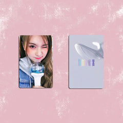 Dolphin Stick Photocard Set