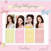 Wonyoung Endorsement Photocard 4PCS Set
