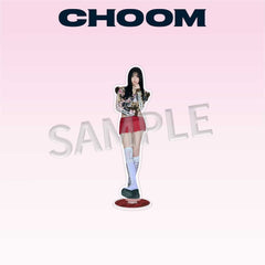 BM 15cm Acrylic Ornament Figurine