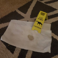 Cat Vomiting Sign Ornament