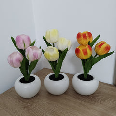 Tulip Dreamlight Table Lamp