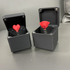 Middle Finger in A Box Surprise