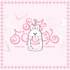 SKZ Cartoon Card Insert Frame Keychain