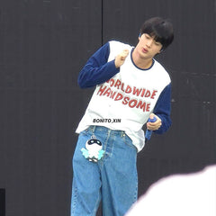 Jin Concert T-Shirt 2025 – Worldwide Handsome Tour Tee