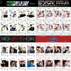 SKZ Transparent PVC Photocard Collection