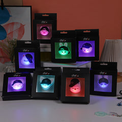 SKZ Luminous Acrylic Brooch