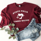 The Vampire Diaries Inspired Mystic Falls Salvatore 17 Front and Back Sweatshirt
