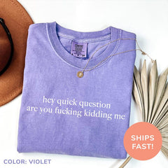 Quick Question Are You Kidding Me Sarcasm Washed T-Shirt