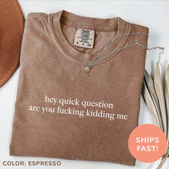 Quick Question Are You Kidding Me Sarcasm Washed T-Shirt