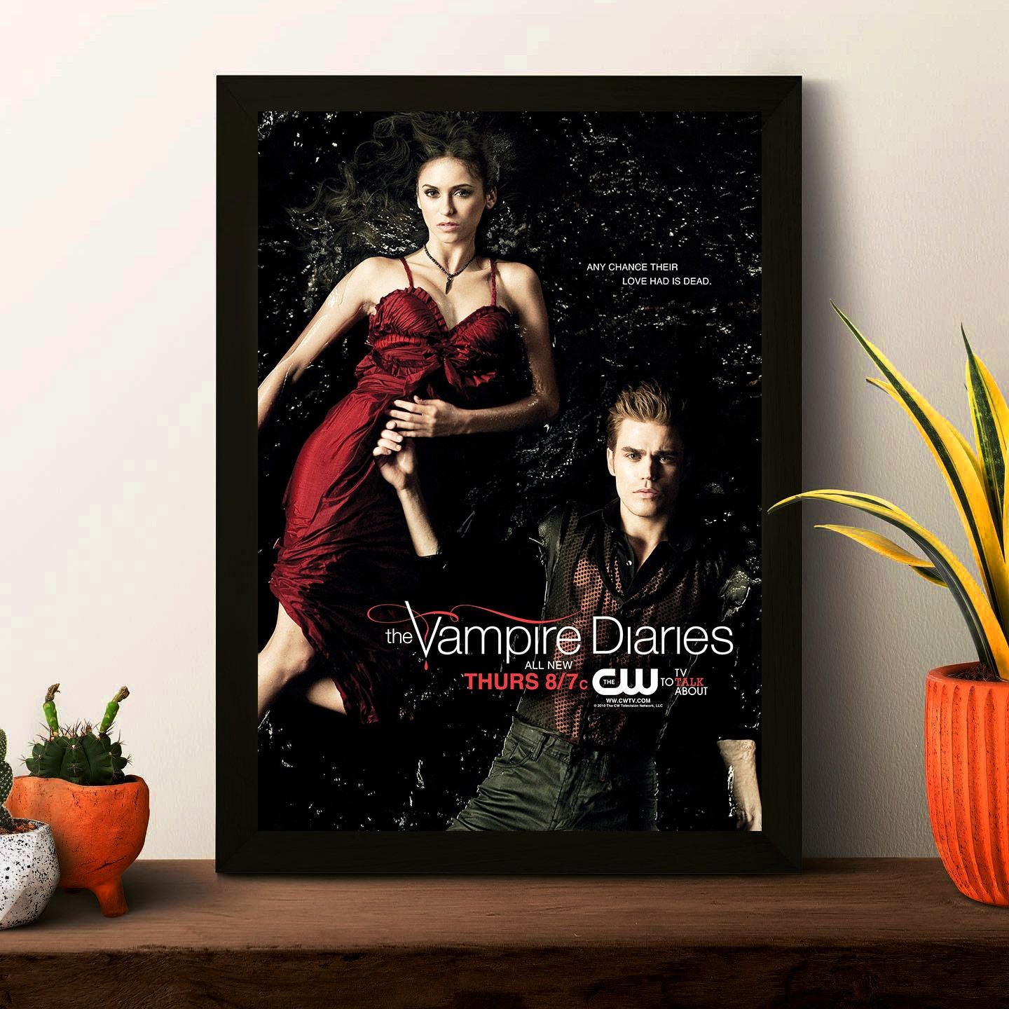 TVD Poster Framed Photo