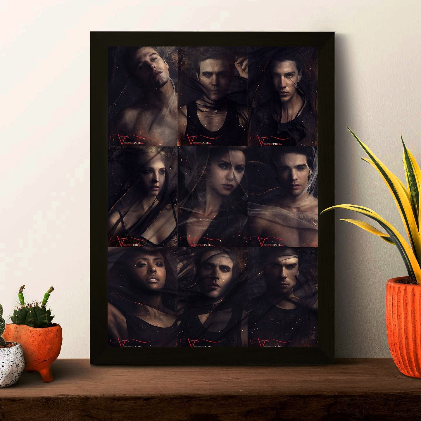 TVD Poster Framed Photo