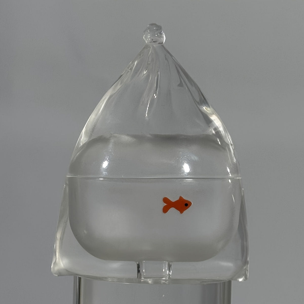Goldfish AirPods Case