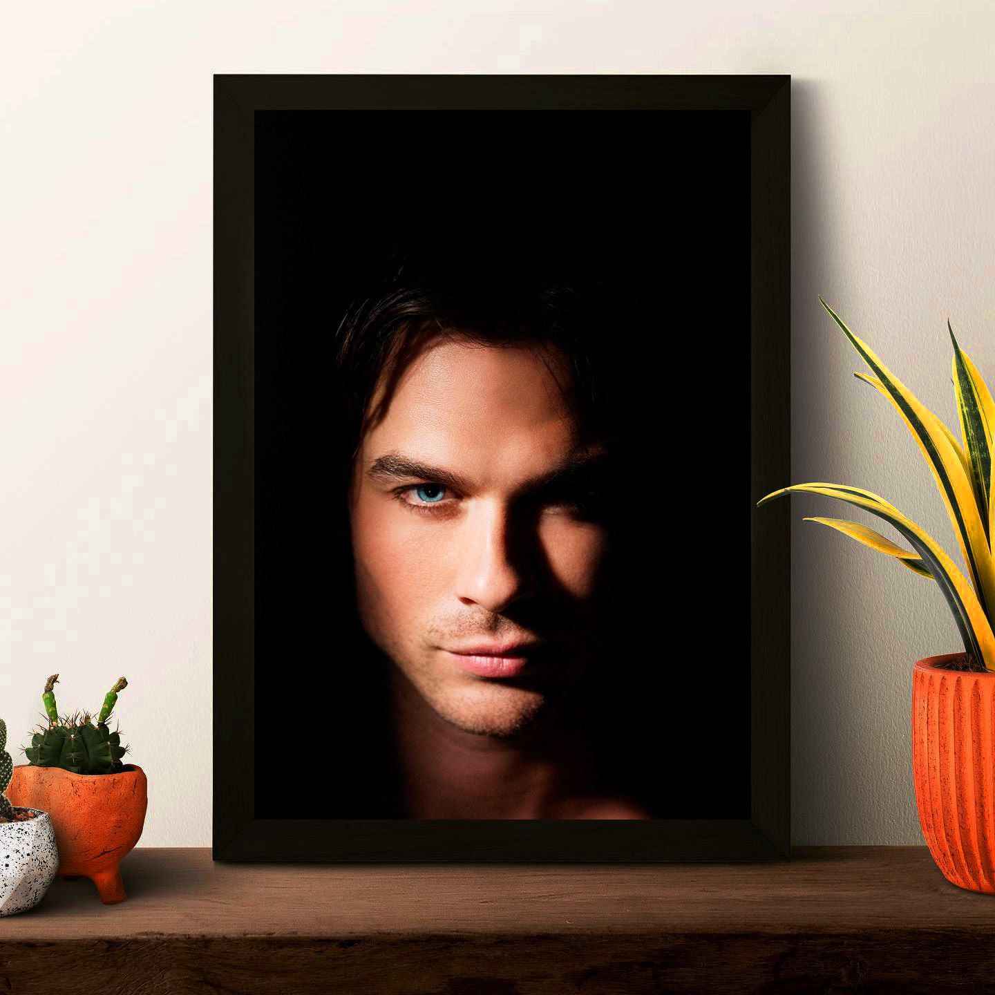 TVD Poster Framed Photo