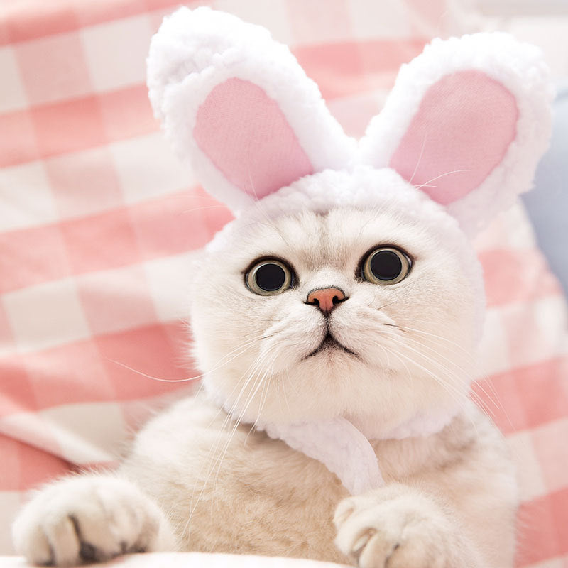 Bunny Rabbit Ears Hat for Cats