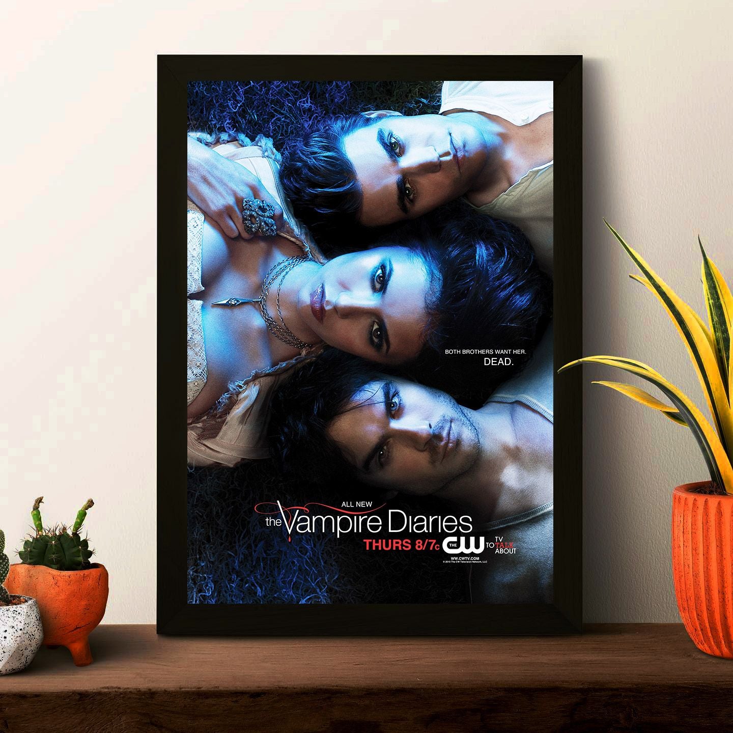 TVD Poster Framed Photo