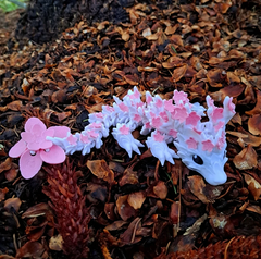 Emotional Support Cherry Blossom Dragon