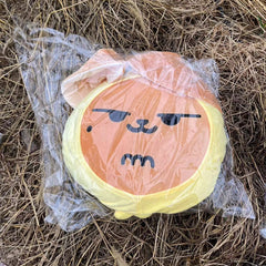 KPOP Plush Cartoon Throw Pillow