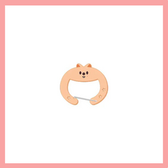 SKZ Arcylic Carabiner Limited Edition