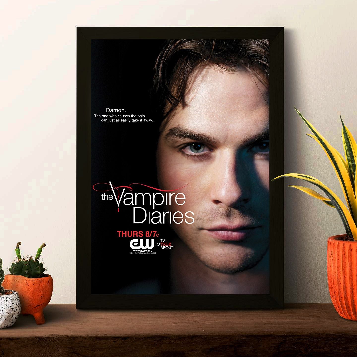 TVD Poster Framed Photo