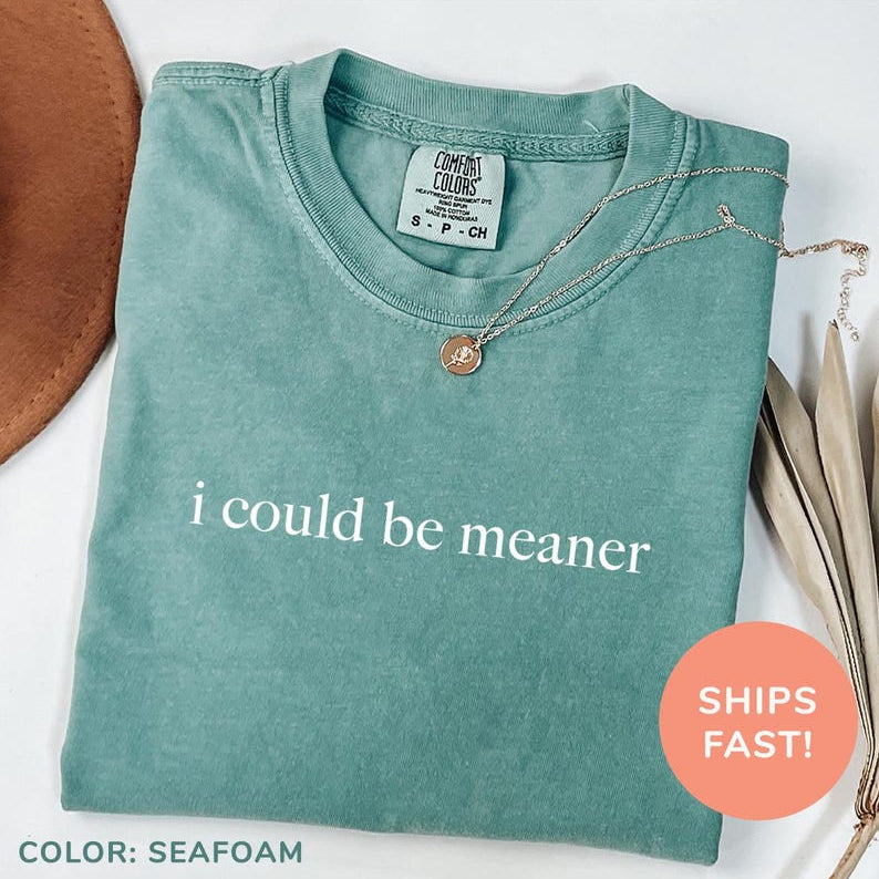 I Could Be Meaner Funny Washed T-Shirt
