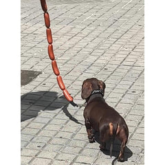 Dog String of Large Sausage Leash