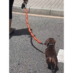 Dog String of Large Sausage Leash