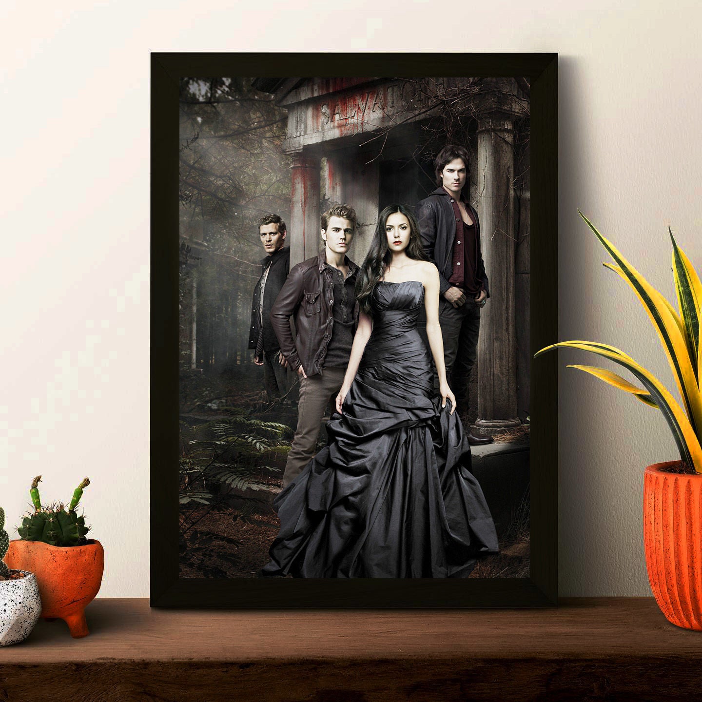 TVD Poster Framed Photo