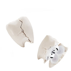 Tooth AirPods Case 🦷