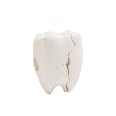 Tooth AirPods Case 🦷