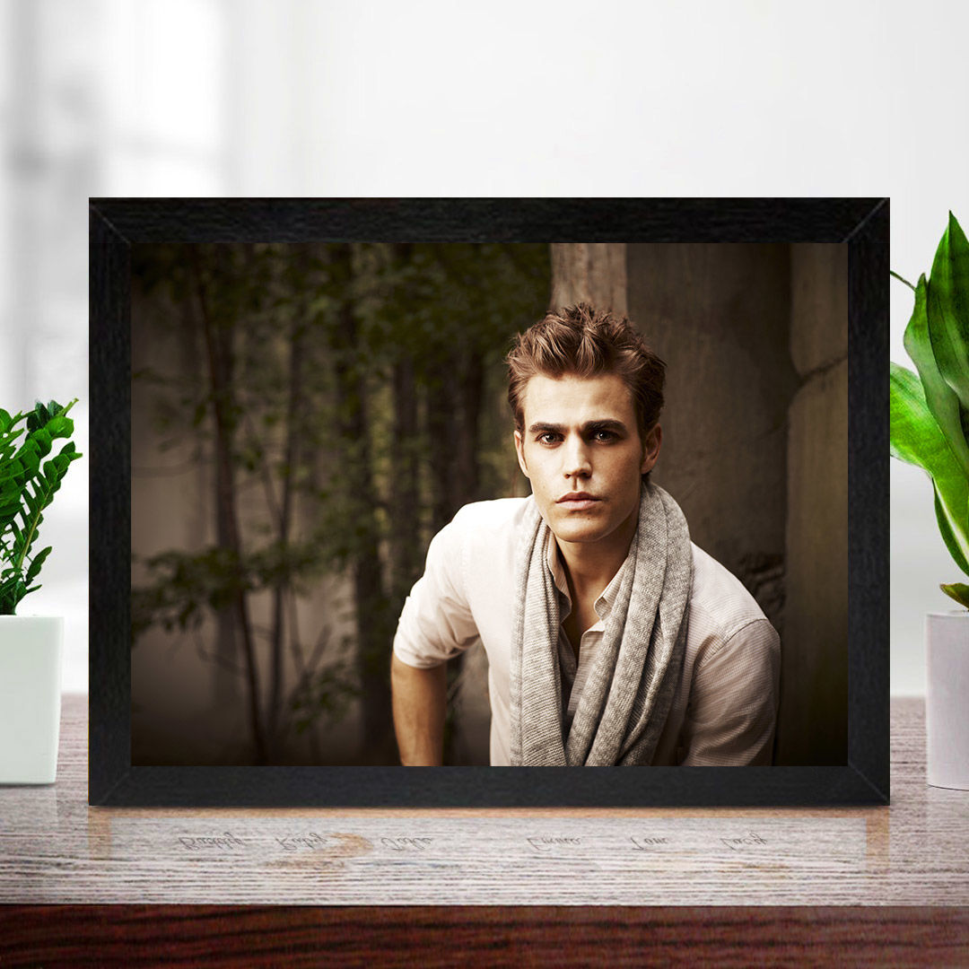TVD Poster Framed Photo