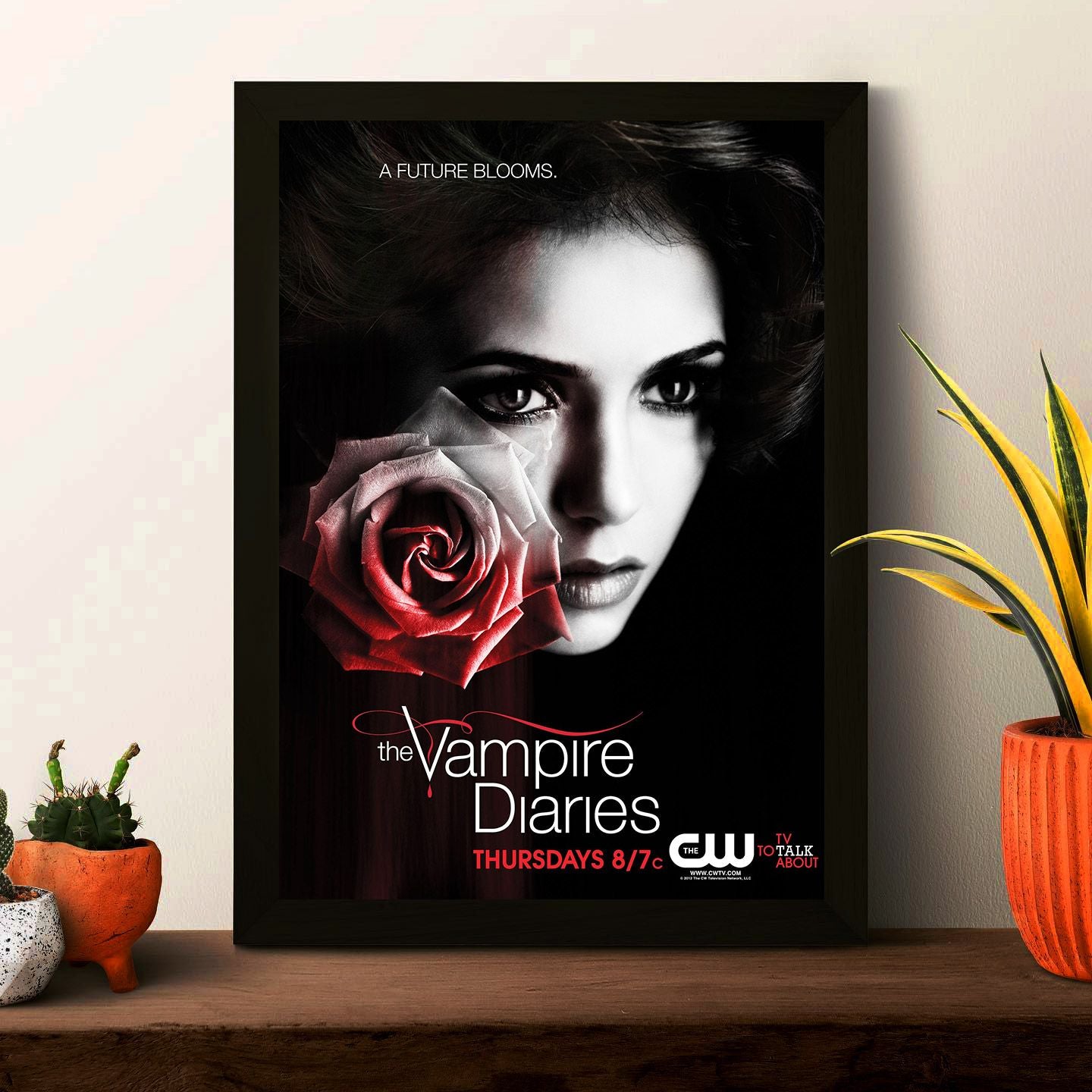 TVD Poster Framed Photo