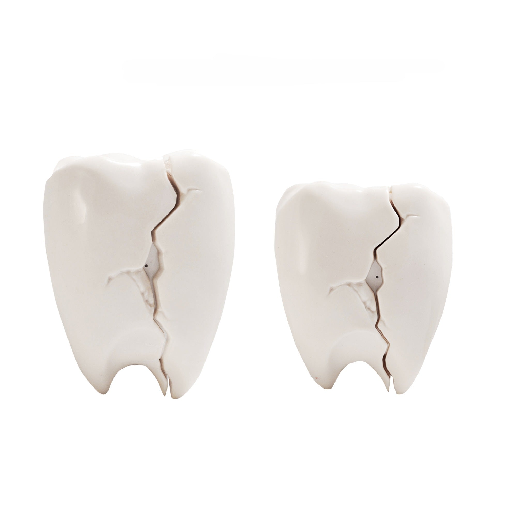 Tooth AirPods Case 🦷