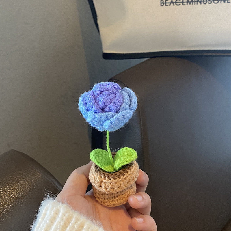 Handmade Crochet Flower Pot