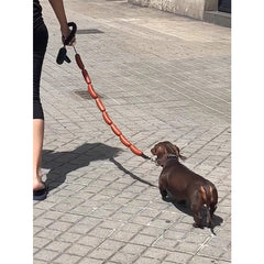 Dog String of Large Sausage Leash