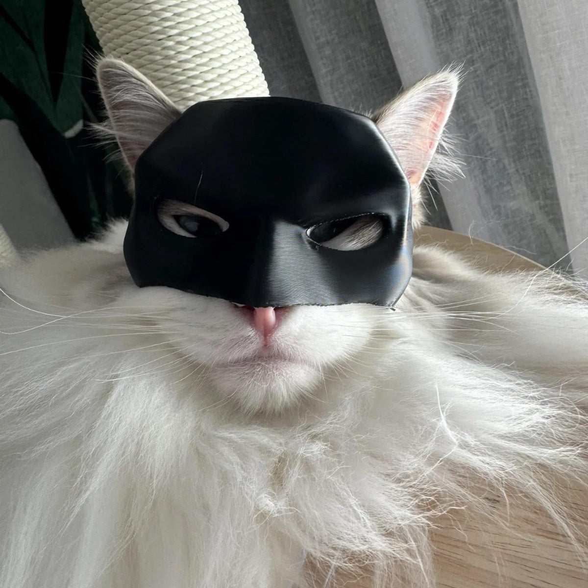 CAT BAT MASK