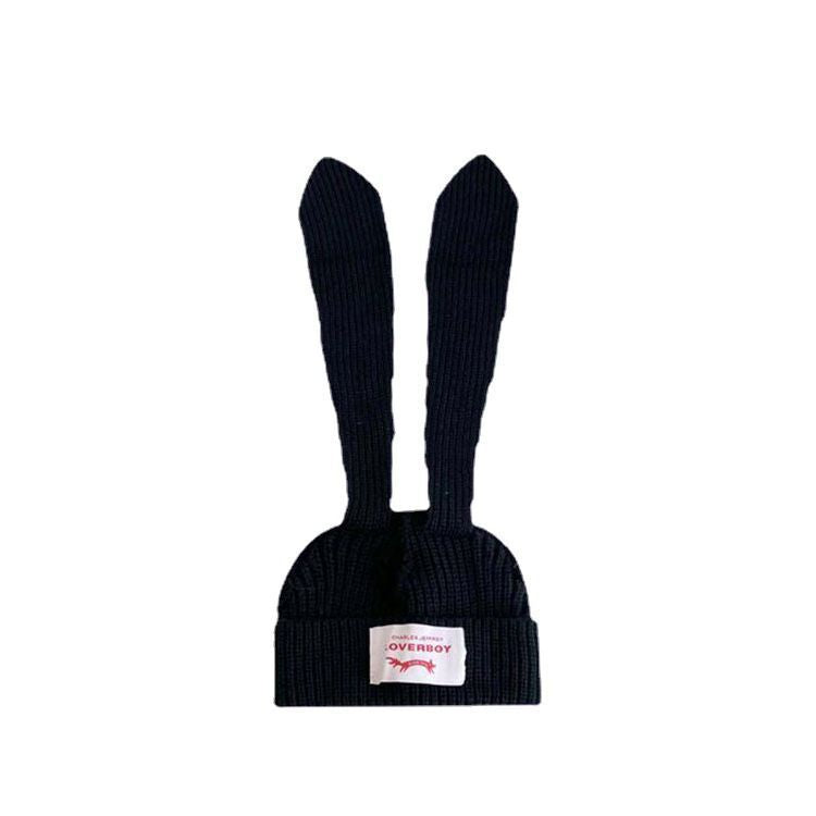 Cute Korean Style Rabbit Ears Knitted Hat