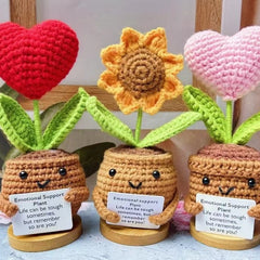 Handmand Emotionlal Support Plant Gifts